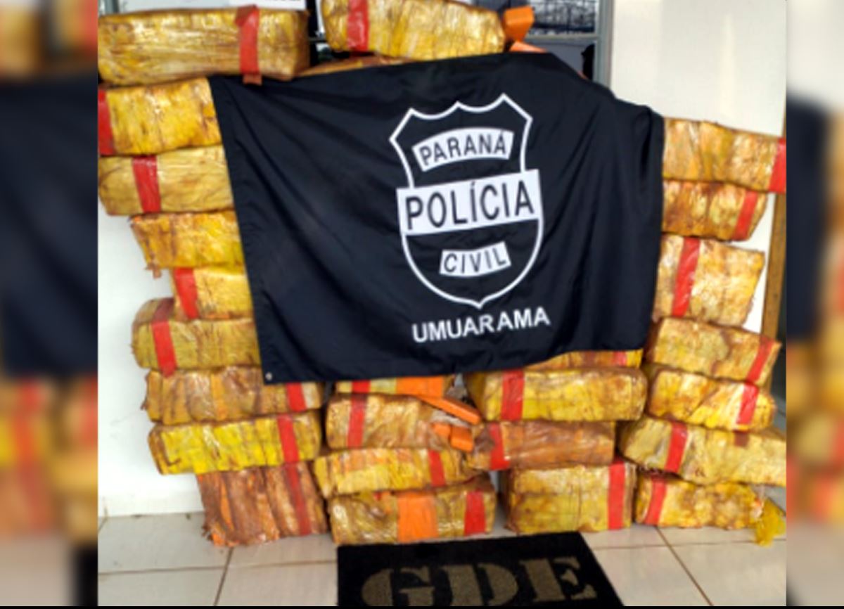 Polícia Civil apreende quase meia tonelada de maconha em Umuarama 